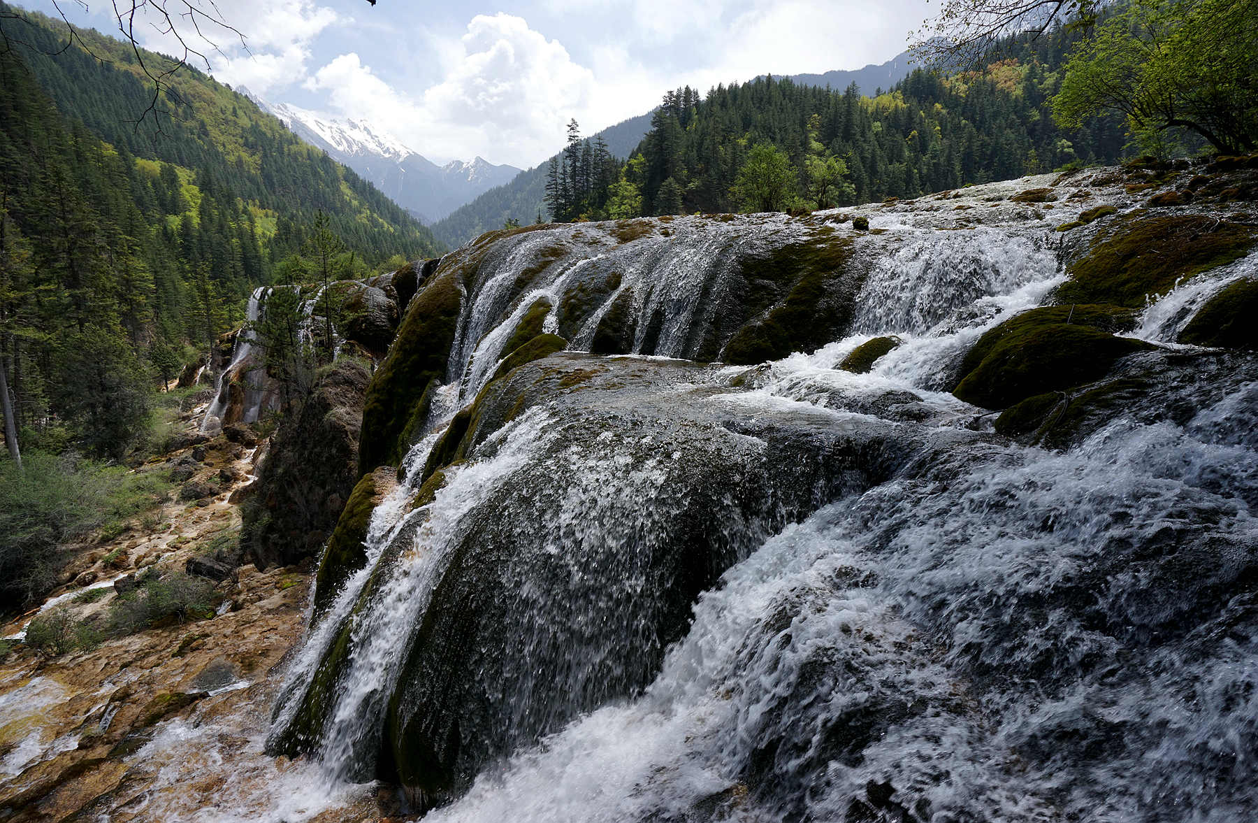 DSC03702 - 副本 (2)_副本_副本.jpg