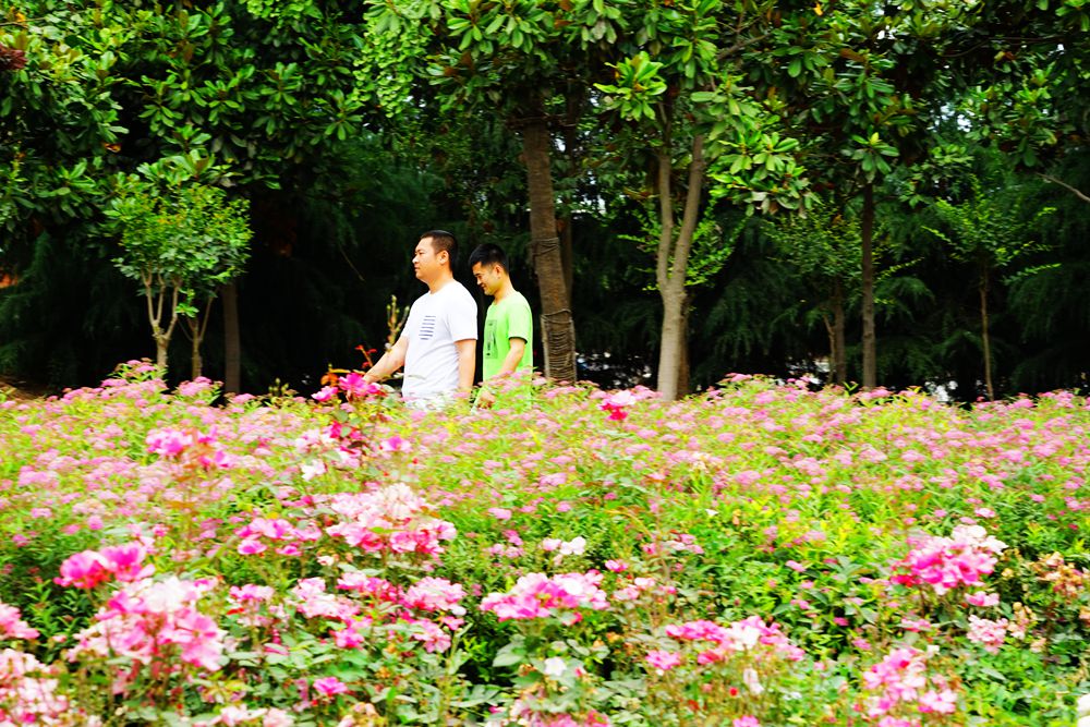 DSC02258_副本.jpg