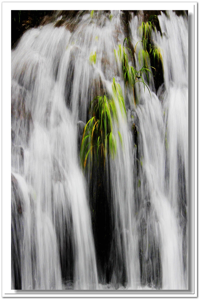 012_conew1.jpg