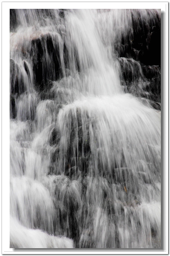 022_conew1.jpg