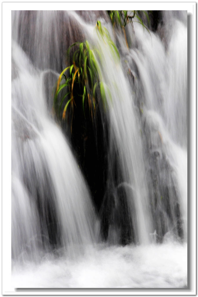 034_conew1.jpg