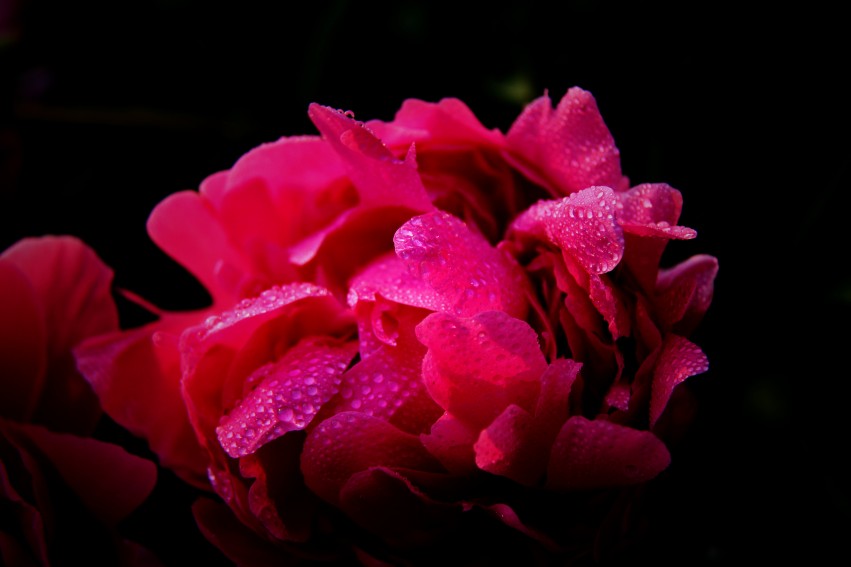 IMG_0096_副本_conew1.jpg