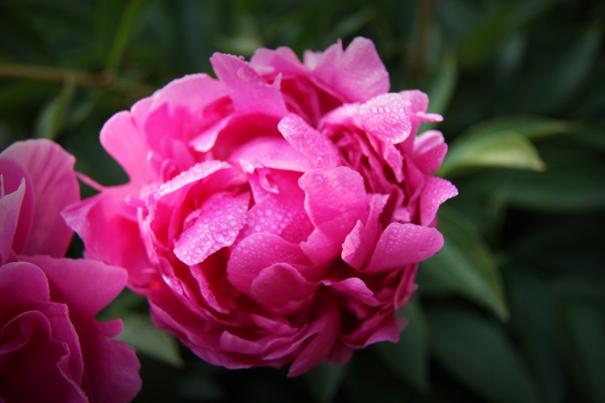 IMG_0097_副本_conew1.jpg