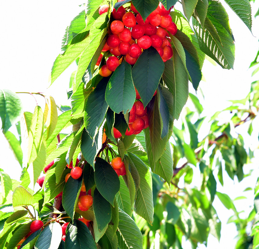 000_7178.JPG