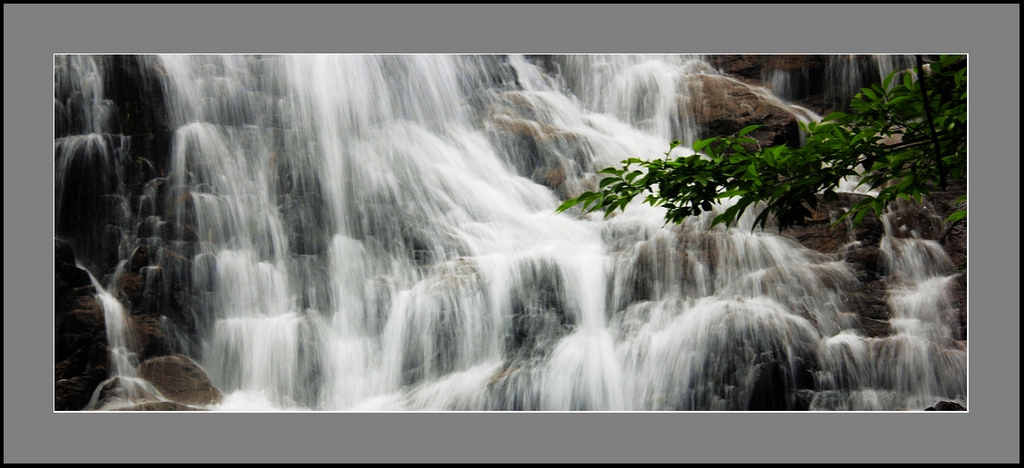 027_conew1.jpg