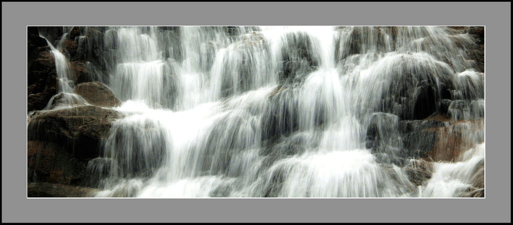026_conew1.jpg