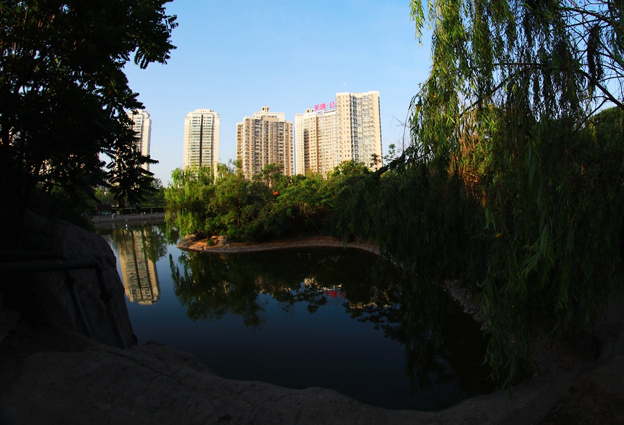 B06.JPG