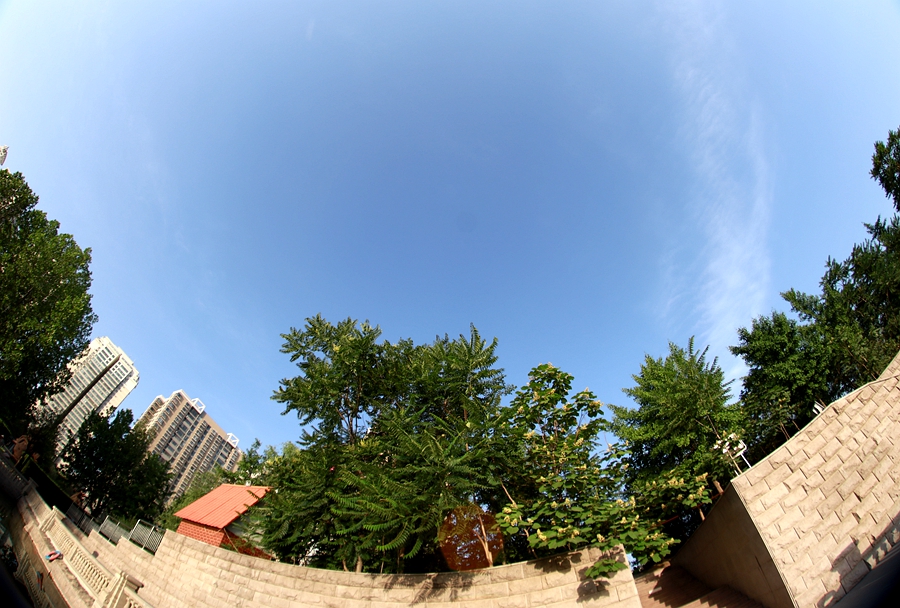 B09.JPG