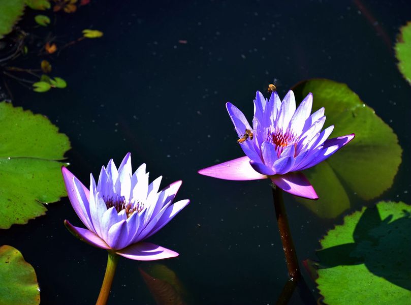 DSC_5553_副本_副本.jpg