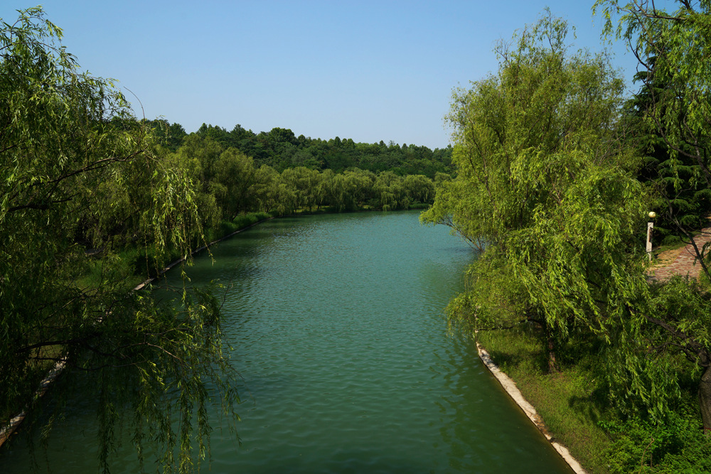 DSC07465_副本.jpg