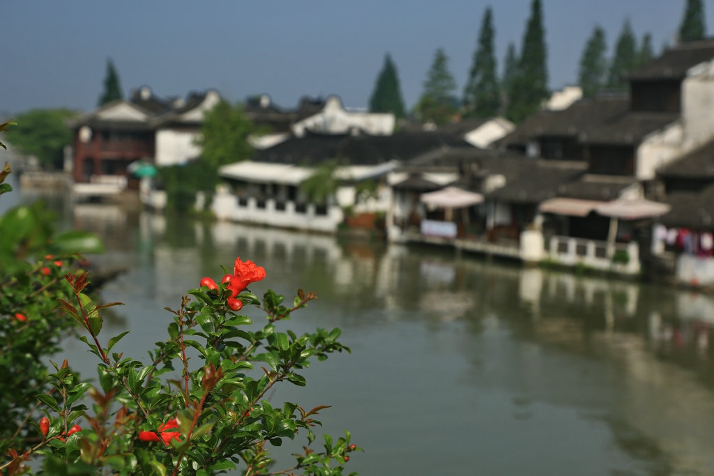 5L9A5400--_副本1.jpg.thumb.jpg
