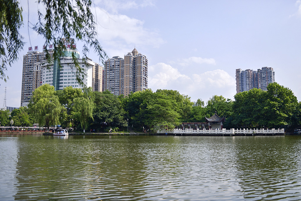 DSC_3120.JPG