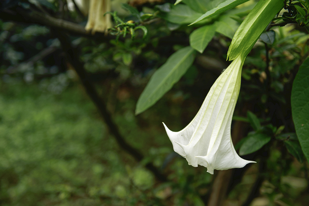 DSC_3126.JPG