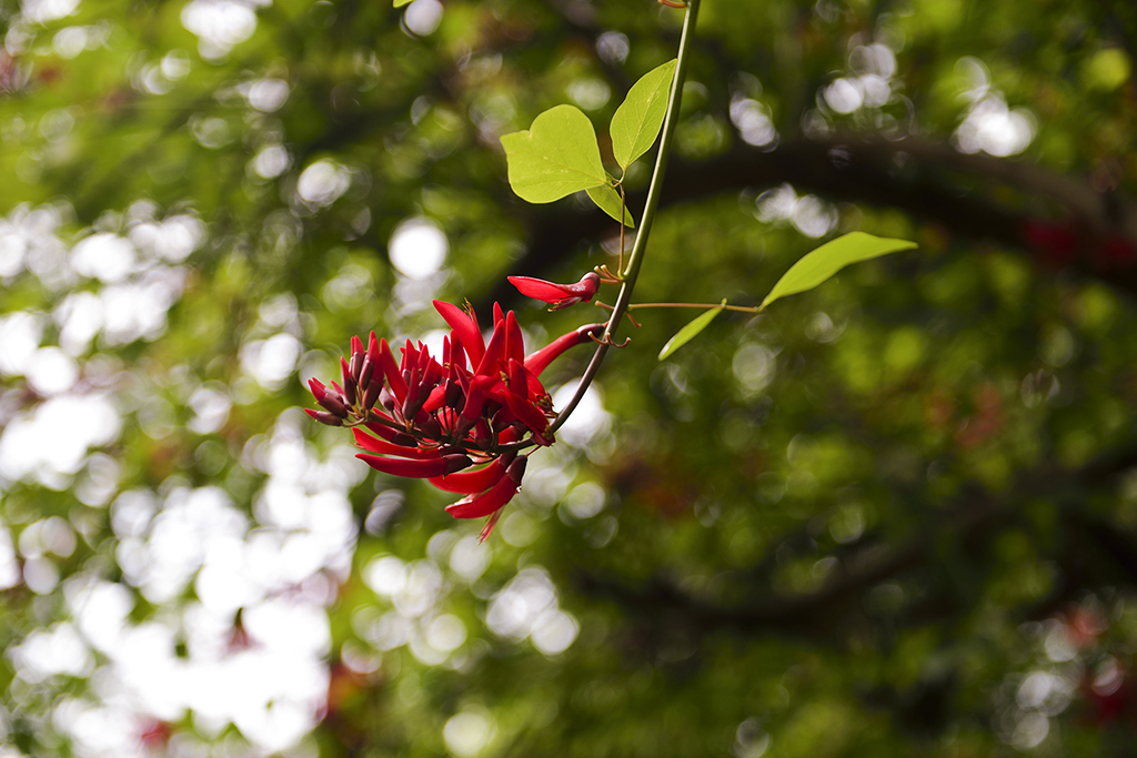 DSC_3167.JPG