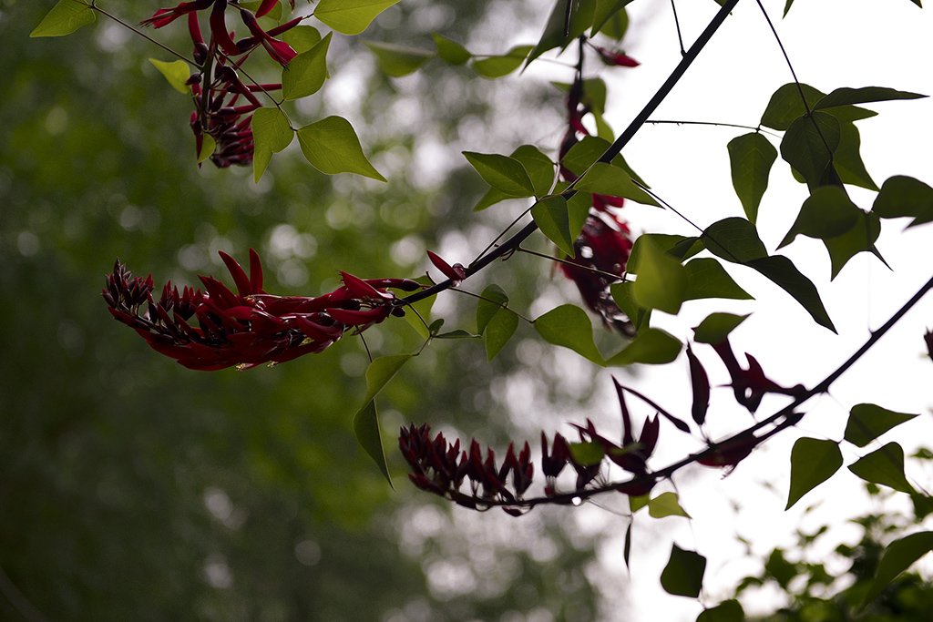 DSC_3168.JPG