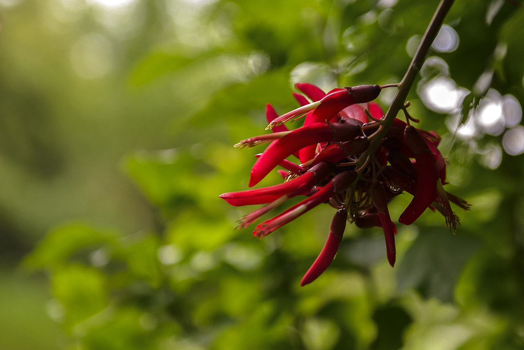 DSC_3169.JPG