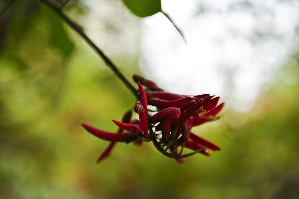 DSC_3175.JPG