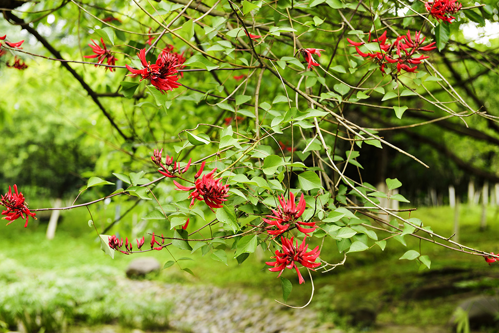 DSC_3178.JPG