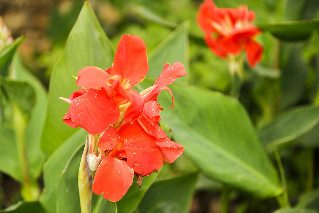 DSC_3155.JPG