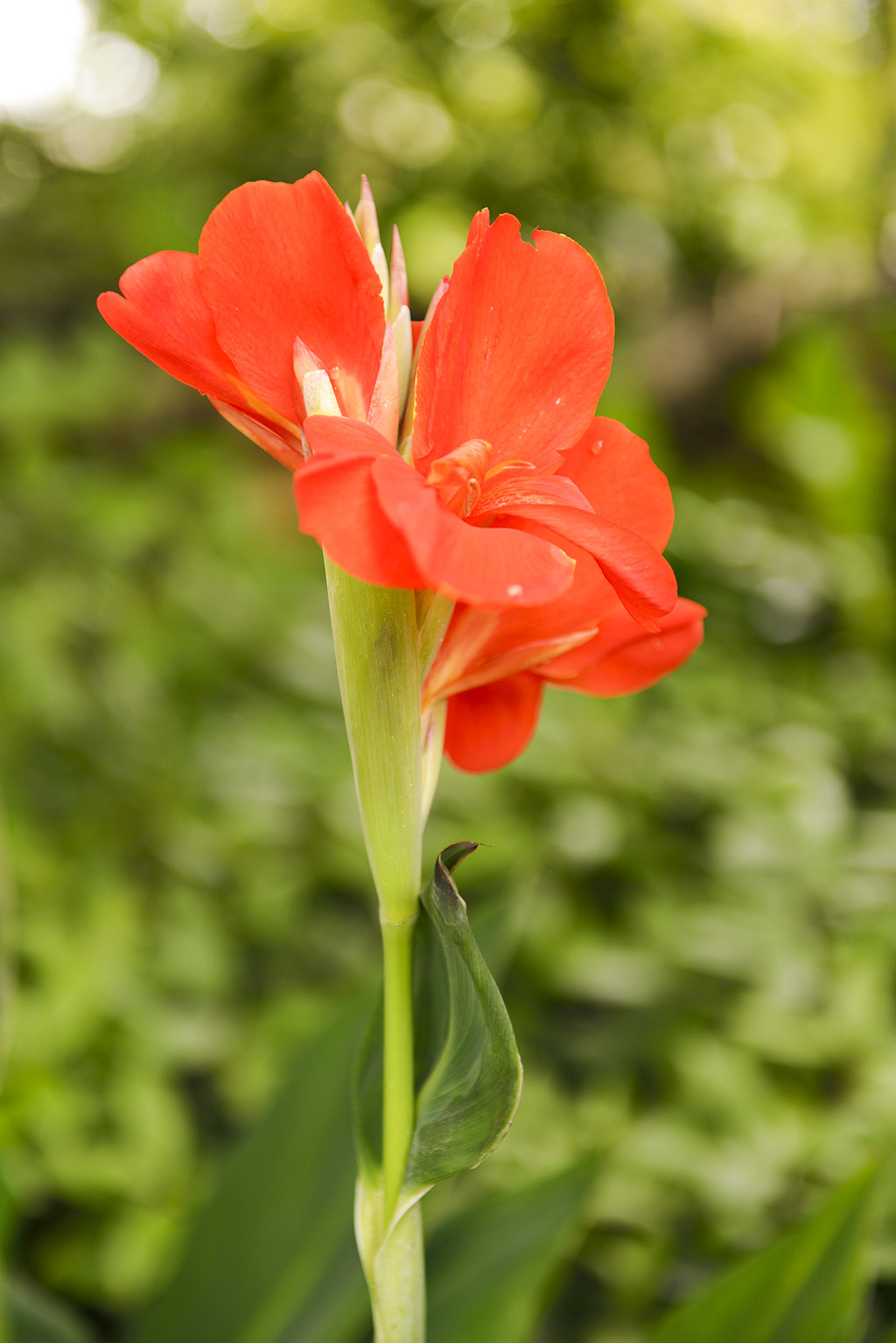 DSC_3157.JPG