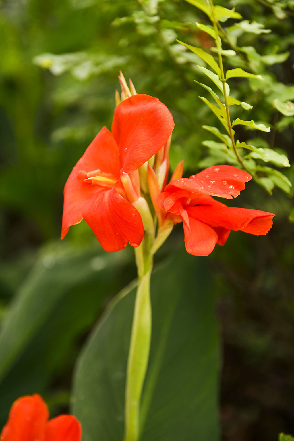 DSC_3158.JPG