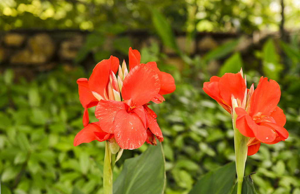 DSC_3159.JPG