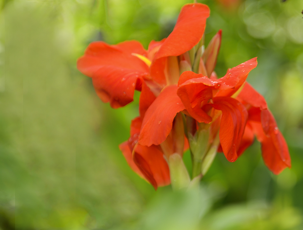 DSC_3160.JPG