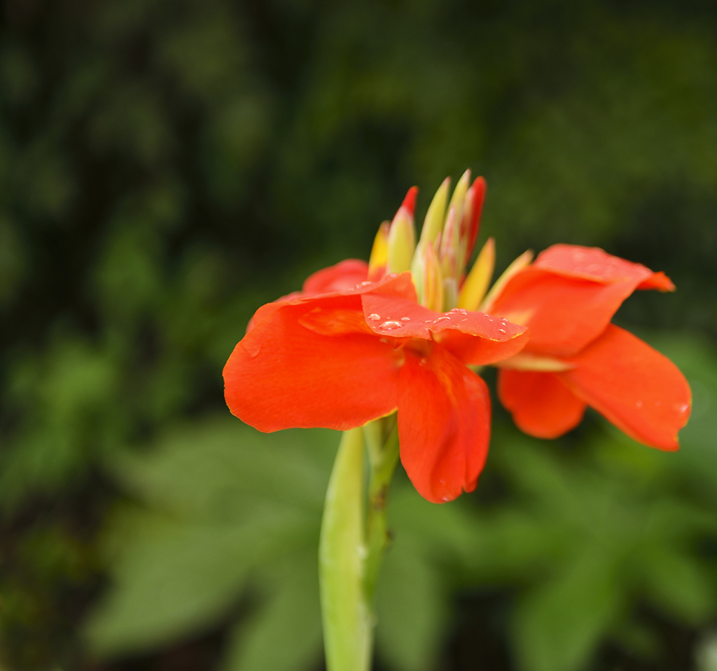 DSC_3161.JPG