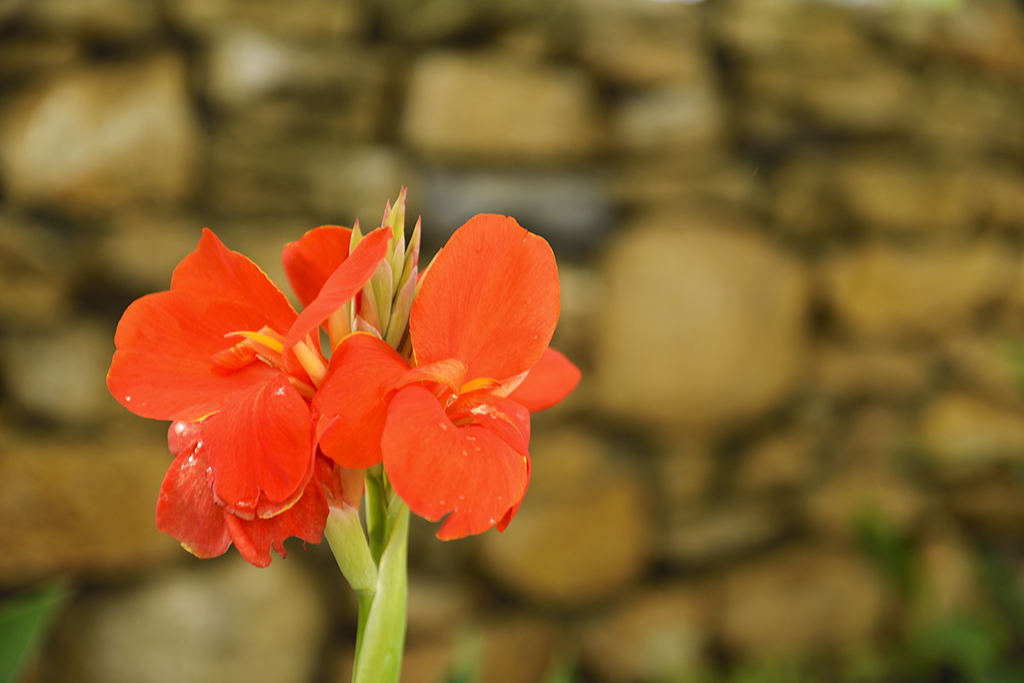 DSC_3162.JPG