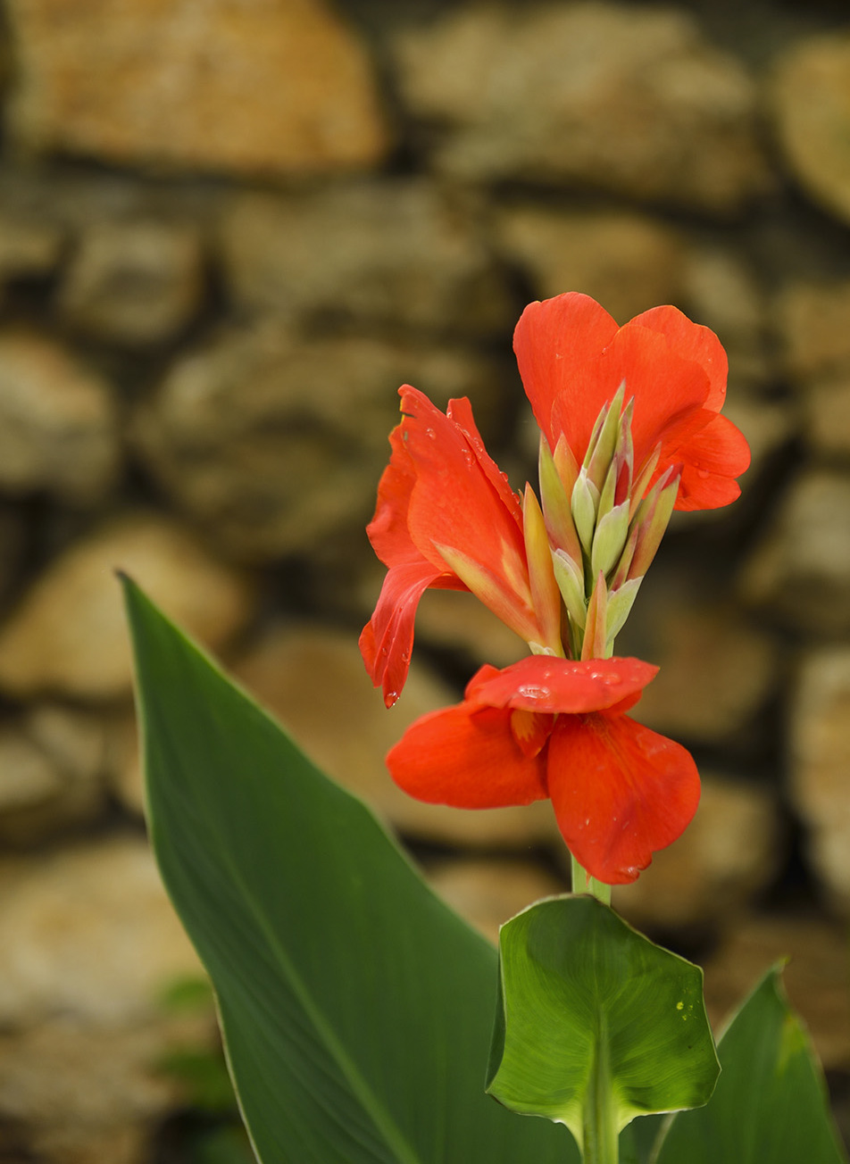 DSC_3163.JPG