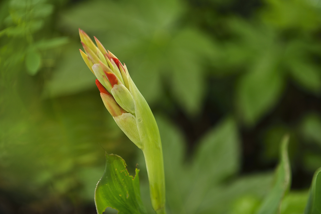 DSC_3164.JPG