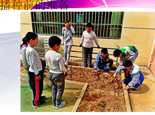 QQ图片20160613100828_conew1.jpg