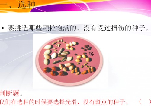 QQ图片20160613100908_conew1.jpg