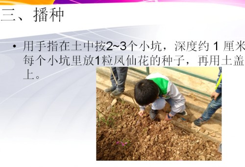 QQ图片20160613101027_conew1.jpg