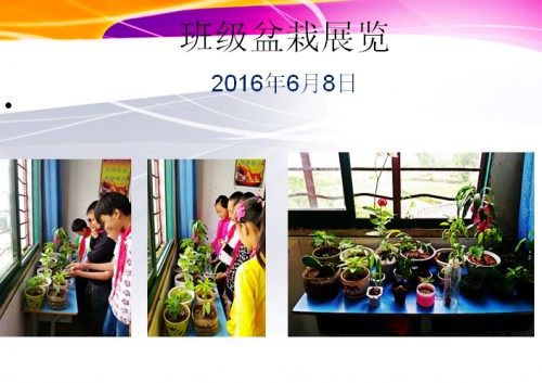 QQ图片20160613101230_conew1.jpg