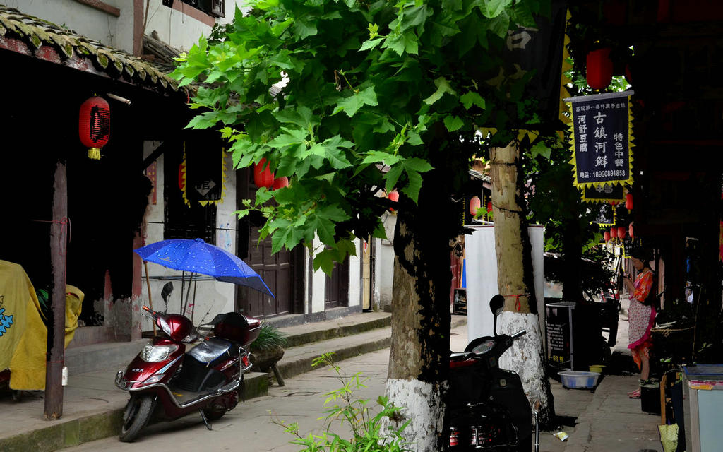 DSC_2176.JPG