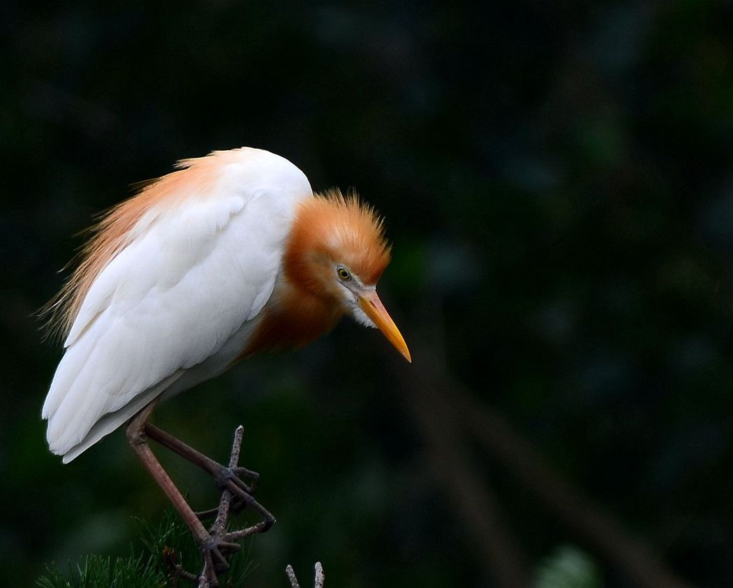 DSC_9361_副本_副本.jpg