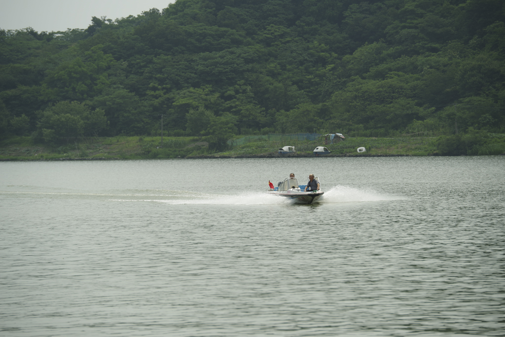 IMGP5825.jpg