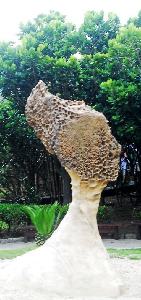DSCN2057_conew1.jpg