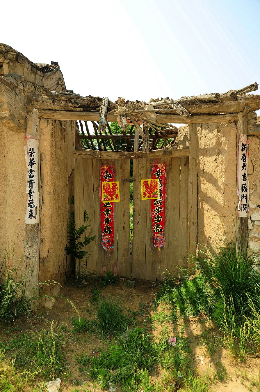 _DSC3677_副本_副本.jpg