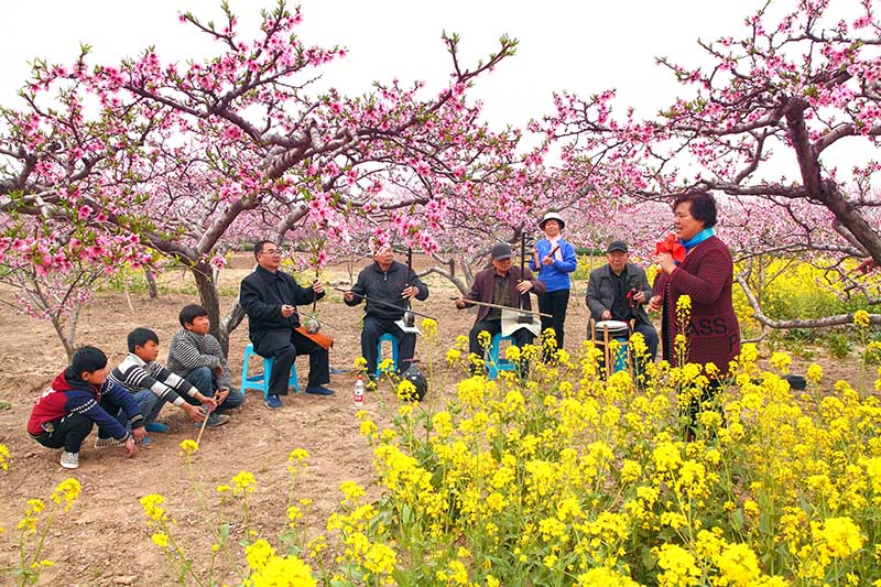 桃花园里“夕阳红”副本.jpg