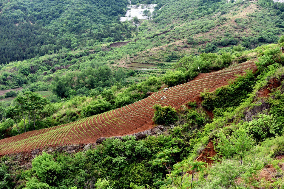 DSC_9516副本_副本_副本.jpg