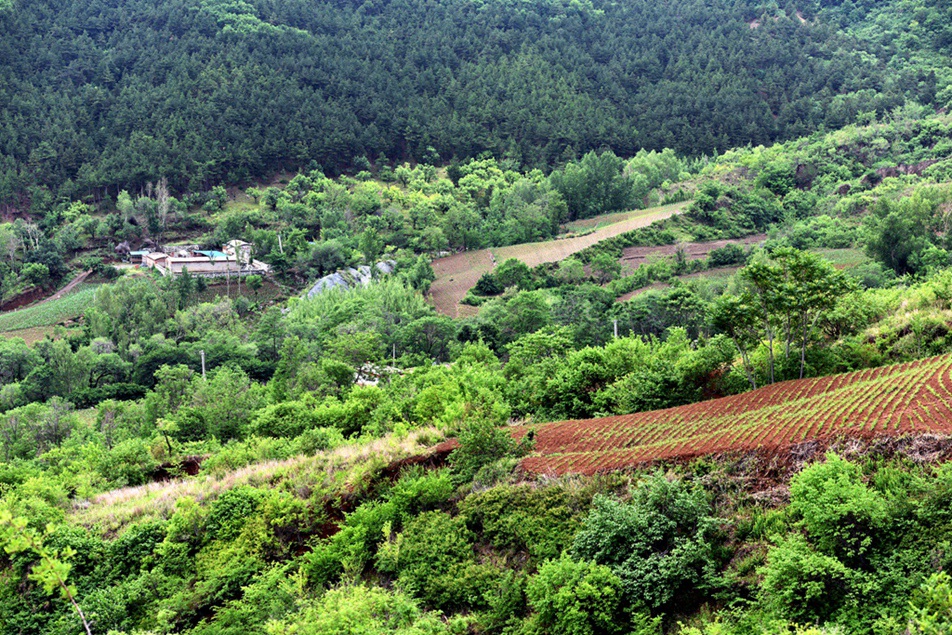 DSC_9517副本_副本_副本.jpg