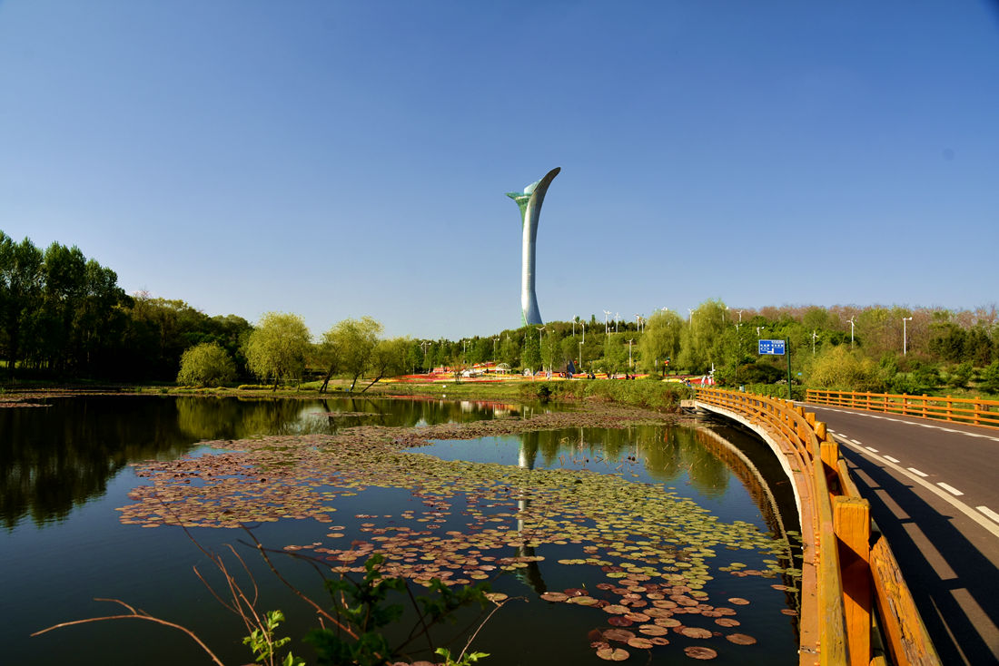 世博园掠景《一》 373.JPG