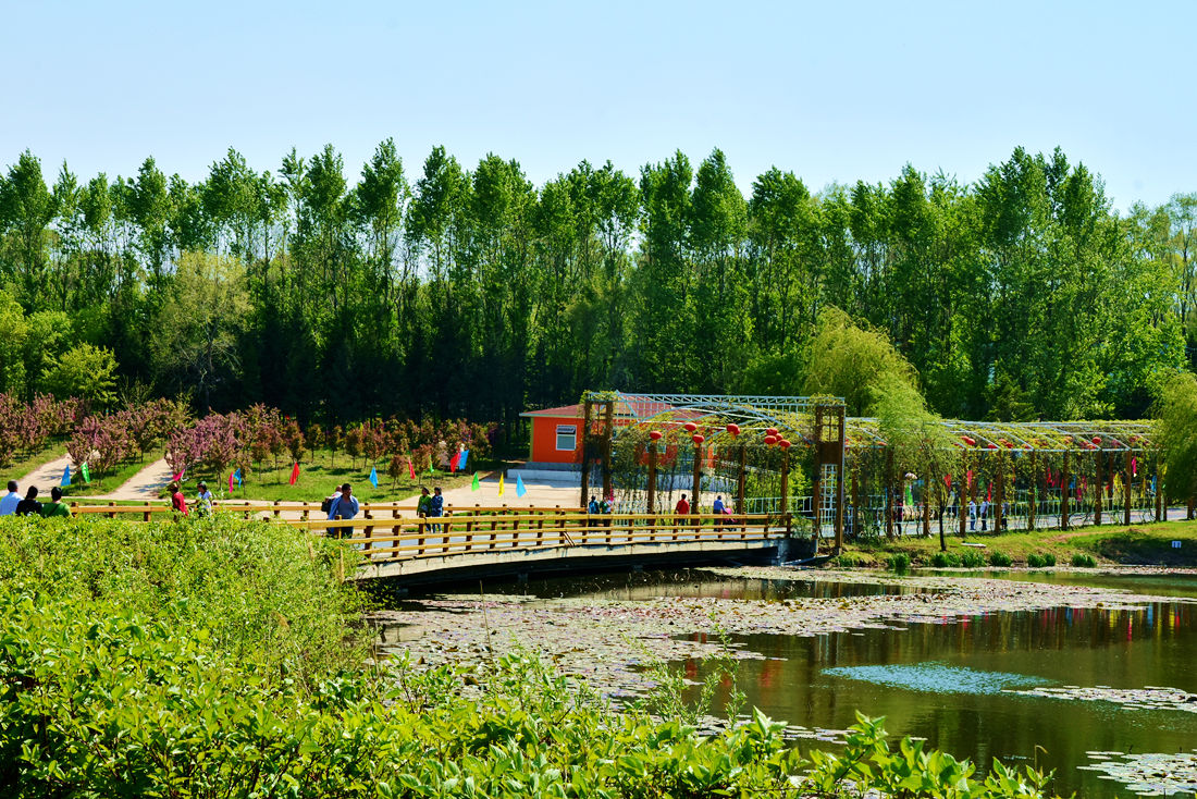 世博园掠景《一》 176.JPG