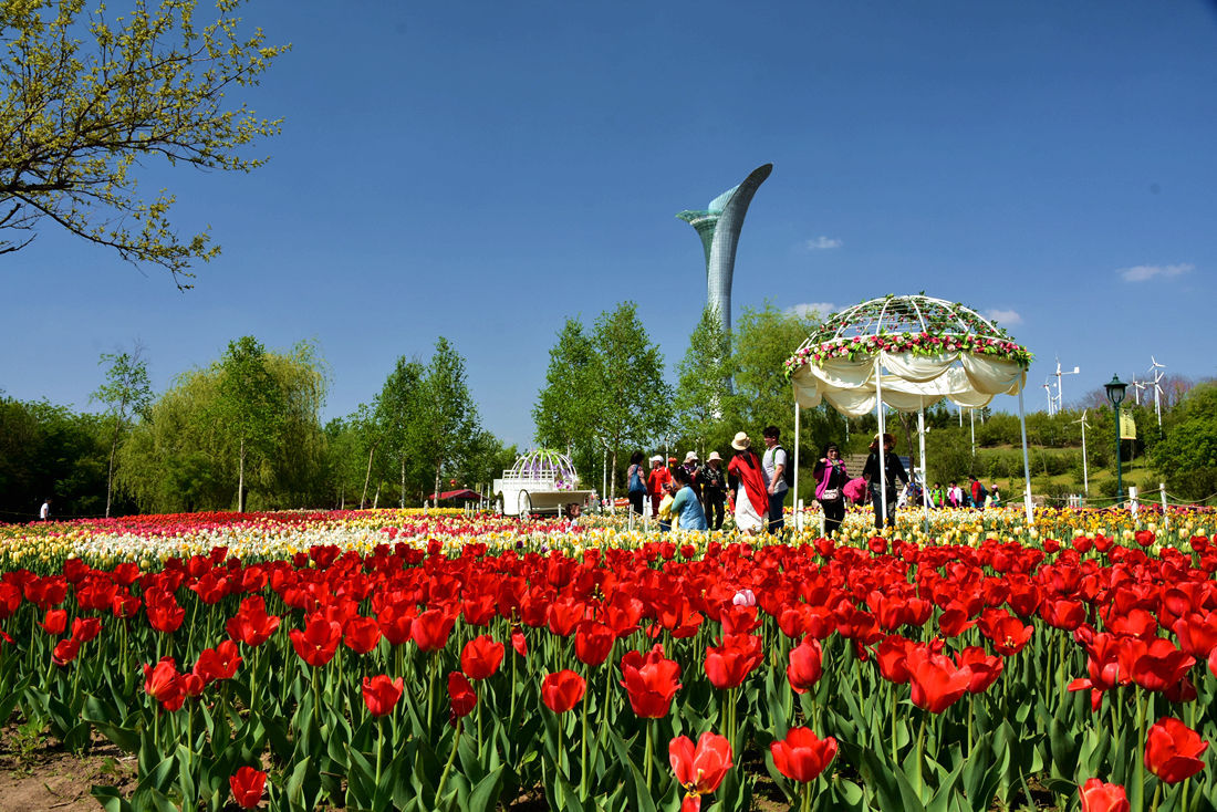 世博园掠景《一》 175_副本_副本.jpg