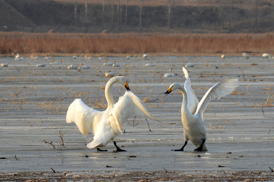 DSC_8317副本_副本.jpg