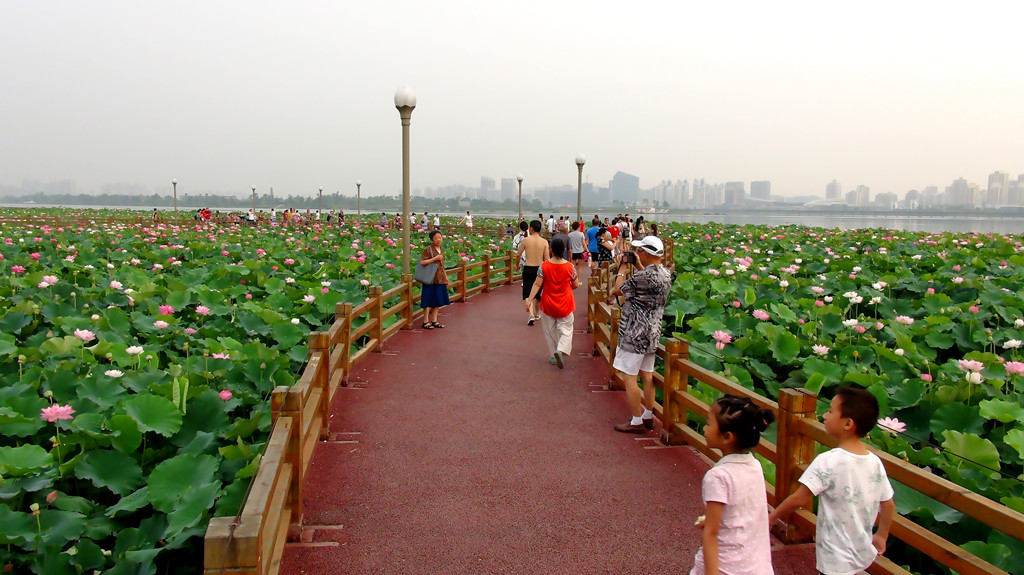 DSC09014_副本.jpg