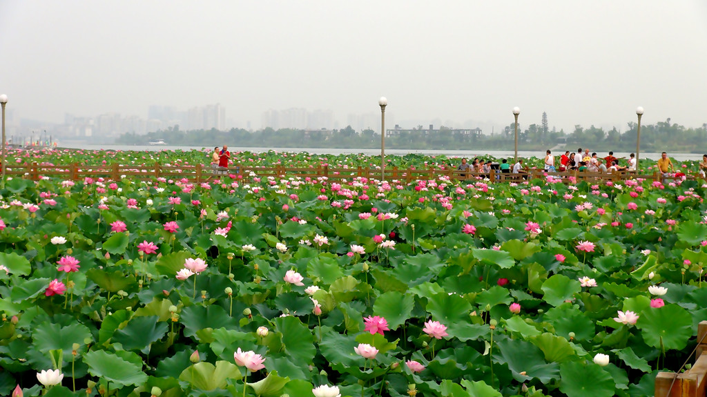 DSC09015_副本.jpg