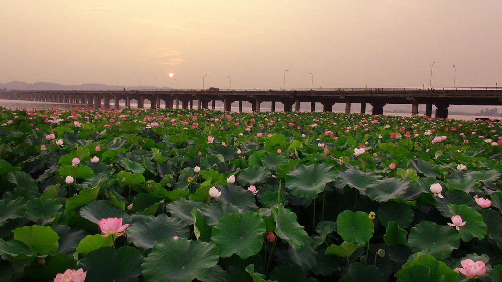 DSC08863_副本.jpg